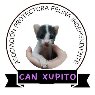 @plutoni239