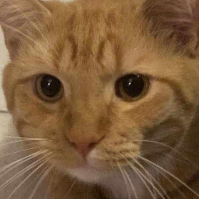 Dyoxide_'s profile picture. I give up promoting my game this is lame af