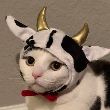 Leo_7210's profile picture. Hi, My name's Leo