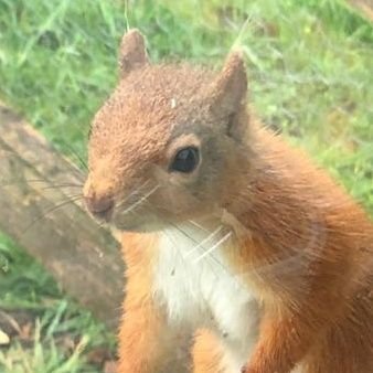 _Quantrix's profile picture. 