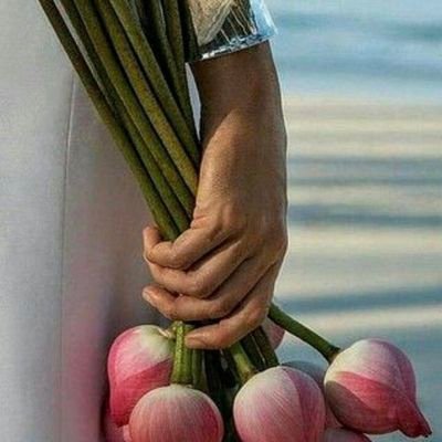 ylmzHalil06's profile picture. mütevazi ve sürekli kendinden önce başkalarını düşünen hakkaniyetli bir insanım selam kardeşlerim