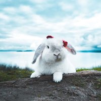 FidmaAriane (@fidmaariane3) 's Twitter Profile