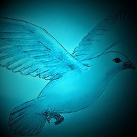 John Keighron. A doves feather(@keighron_s) 's Twitter Profile Photo