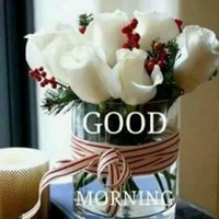 Emmanuel Gumbo (@emmanuelgumbo15) 's Twitter Profile