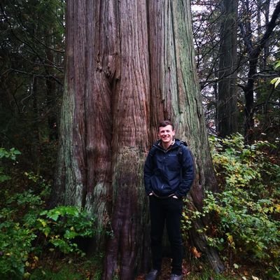 PhD Student @IRSS_UBC | #DeepLearning and #DataFusion for Tree Species Prediction