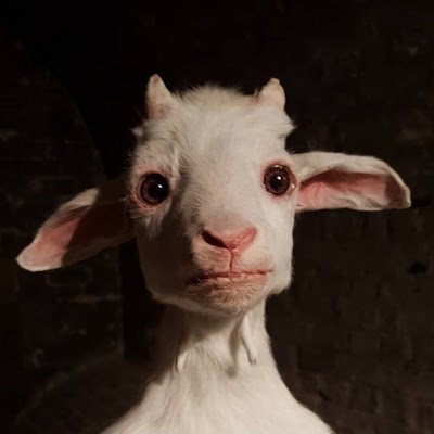 CW_Lasse's profile picture. 