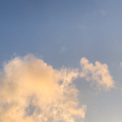 Ttitania0's profile picture. 