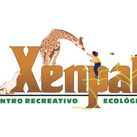 Zoológico XENPAL (@xenpal) 's Twitter Profile