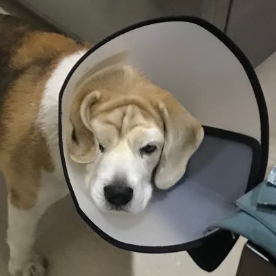 kanav_____'s profile picture. a guy doing too many things