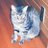野良猫ゴンゾウ (@Ohita_Fuji)