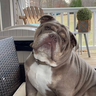 AndrewBilisoly's profile picture. 