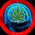 ⭕ Black Creek Cannabis (@blackcreekcanna) Twitter profile photo ⭕ Black Creek Cannabis (@blackcreekcanna) Twitter profile photo