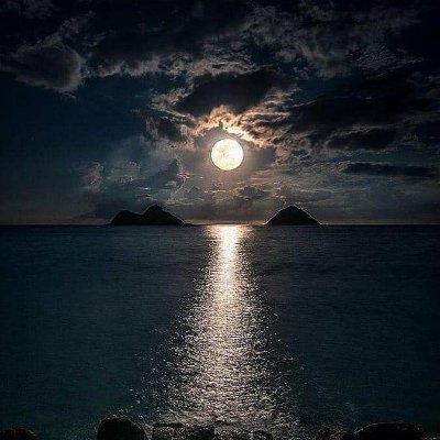 mahmouedmahmed2's profile picture. 😉