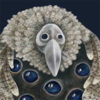 ノーマンさんのプロフィール画像