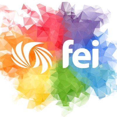 FEI Engage is a new platform that is focused on the diverse talents and goals of developing leaders in finance.