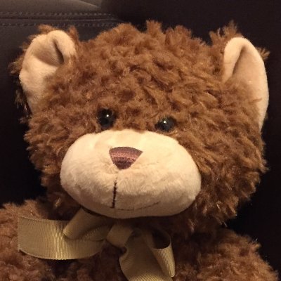 Albert T. Bear (plush animal)