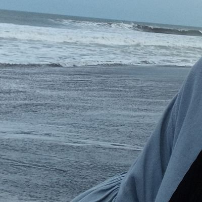 welhomee's profile picture. 