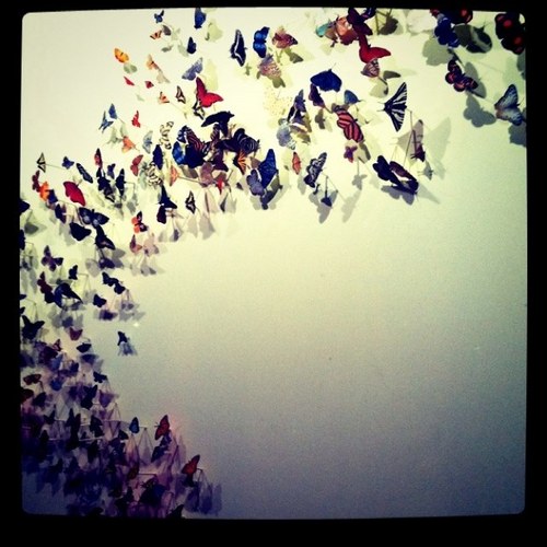 Spinstitcher's profile picture. 