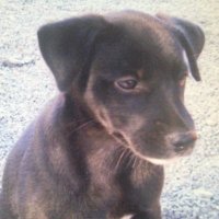marron (@inamarron_1213) 's Twitter Profile