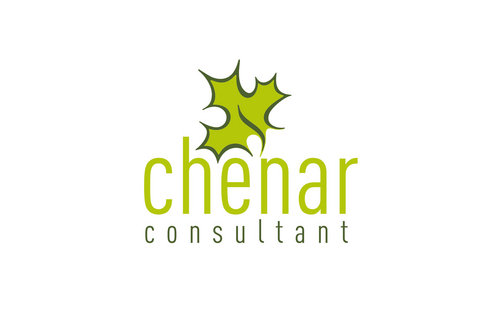 Chief Executive Officer 
Chinar Consultancy (Pvt) Ltd