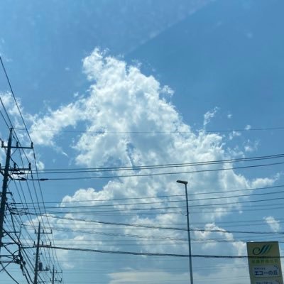 ikumonote's profile picture. 投資(主に日本株)の情報収集用　syo's投資情報局で勉強中