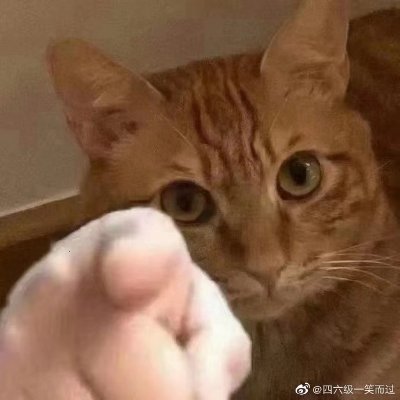 槐椿さんのプロフィール画像