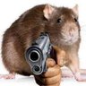 sockorato's profile picture. arson?