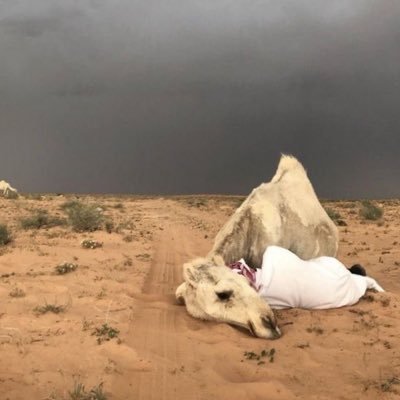 b51yu's profile picture. ماش شي .