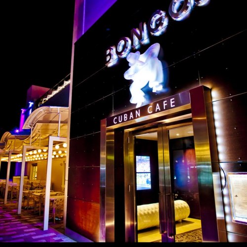 Bongos Hard Rock Cafe Hollywood Fl Bongos Hard Rock Cafe Hollywood Fl