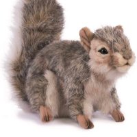 🐿柚茶🐿 (@ras_shiroko) 's Twitter Profile Photo 🐿柚茶🐿 (@ras_shiroko) 's Twitter Profile Photo