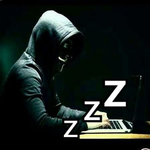 anas1r's profile picture. bbhunter-anas1r^