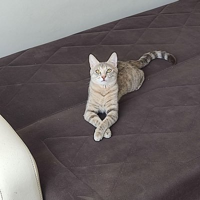 iakob30893410's profile picture. Kripto