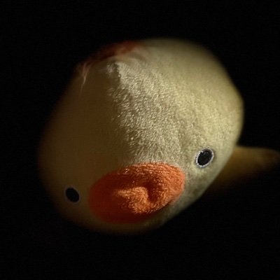 ガジェオタ/ポタオデコスパ勢/掃除機と空清買わねば/香草と辛味好き/ネガ/クソガキ/プロモ多い/一般垢/ミュートorブロックは遠慮なくどうぞ/スパムやめろNever spam me