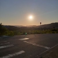 黒狐🦊 (@kuro_gitsu_ne48) 's Twitter Profile