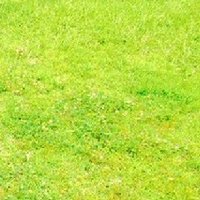 かつゆ (@hod7x2zzlsddlzk) 's Twitter Profile