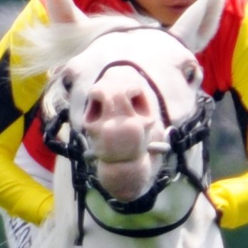umatsuk_hkd3's profile picture. 夏の睡眠負債を完済し（たぶん）、健康で文化的な生活を送っております