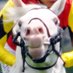 うまっK (@umatsuk_hkd3) Twitter profile photo うまっK (@umatsuk_hkd3) Twitter profile photo