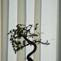 Bob bob (@bobbob34507698) 's Twitter Profile