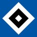 HSV English (@hsv_english) Twitter profile photo HSV English (@hsv_english) Twitter profile photo
