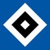 HSV English (@HSV_English) Twitter profile photo