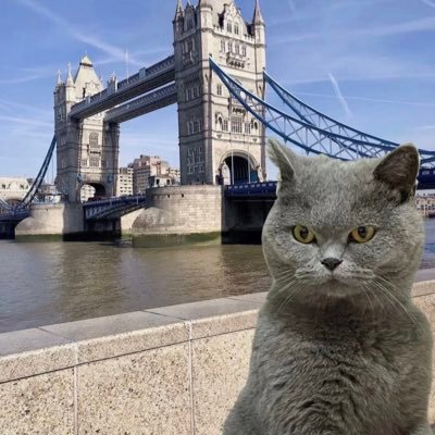 Frankyren1's profile picture. 