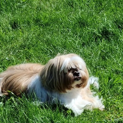 DalyMargy's profile picture. Entertainment