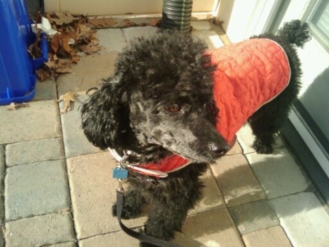 KgasiRN's profile picture. 