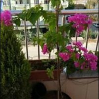 tayfun_0244 (@tayfun_0244) Twitter profile photo