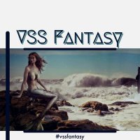 vssfantasy(@vssfantasy) 's Twitter Profile Photo