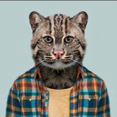 CRYPT0CATT's profile picture. https://t.co/3hBv35bcnD   I will  not give financial advice