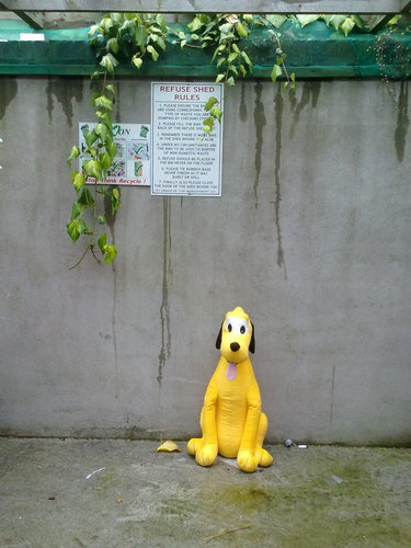 CochaillinDearg's profile picture. A bunch of sarcastic molecules got together resulting in...  A.W.E.S.O.M.-O