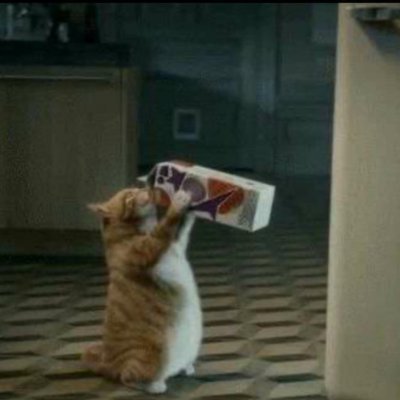 Moss_thing's profile picture. cat lover
lore addict