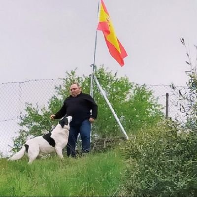 “Múdate a un pueblecito donde aún existan las leyes.
Aquí no sobrevivirías, no eres un lobo...
y ahora ésta es tierra de lobos.”