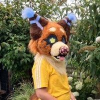 Aster 🌾🦝(@blac_k_blood) 's Twitter Profile Photo